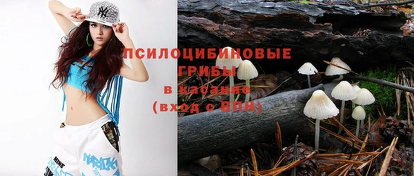 первитин Арсеньев