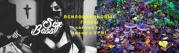 винт Аркадак
