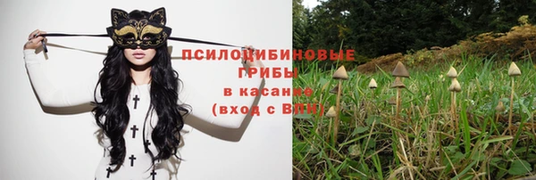 винт Аркадак