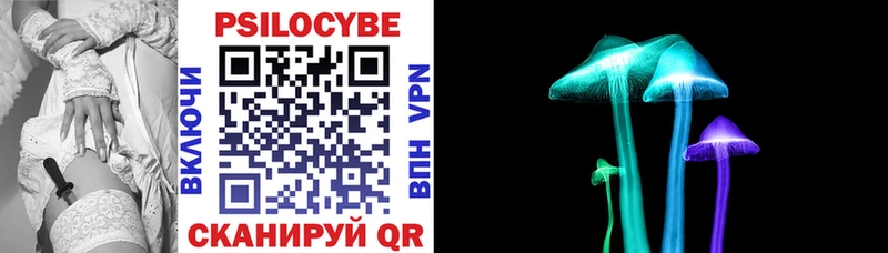 KRAKEN как зайти  Сорск  Галлюциногенные грибы MAGIC MUSHROOMS 
